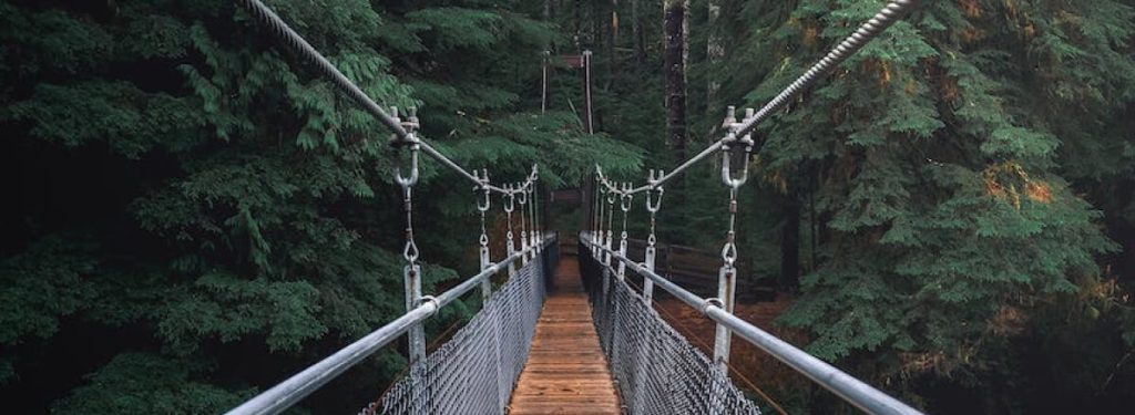 portfolio 03 1024x375.jpg